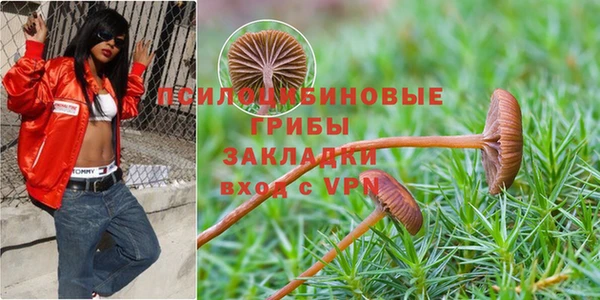 гидра Остров