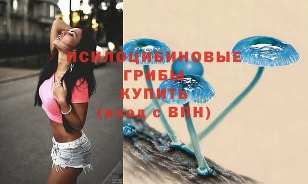 прущий лед Осташков