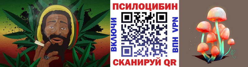 omg зеркало Остров Псилоцибиновые грибы GOLDEN TEACHER